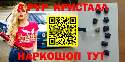 стаф Будённовск