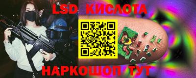 стаф Будённовск