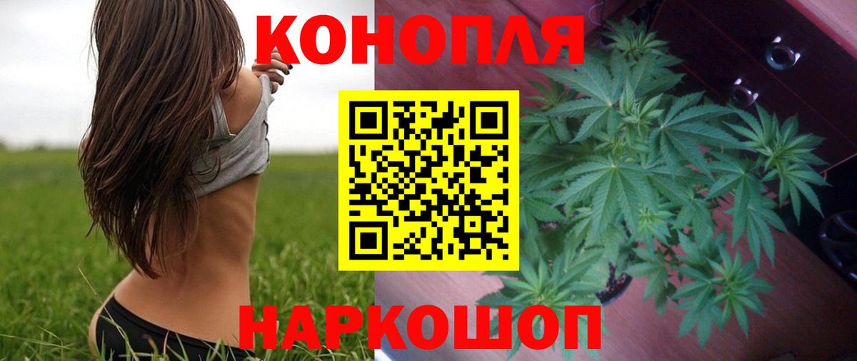 Полысаево  Канабис VHQ  Вход с VPN  Канабис семена  Конопля THC 21% 